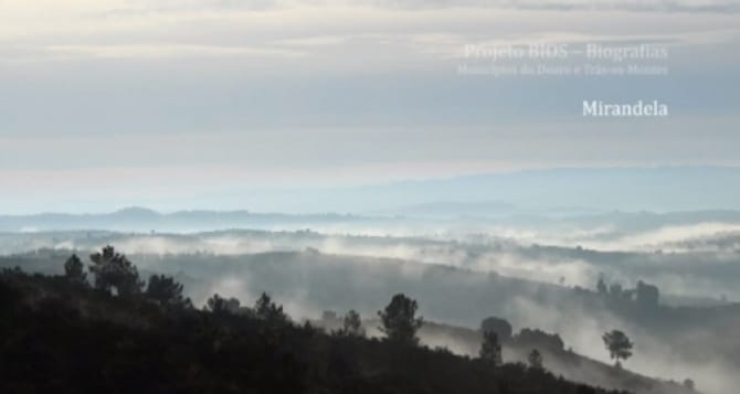 Bios – Mirandela